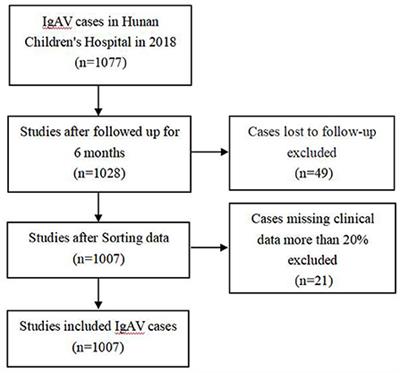 Risk assessment and prediction model of renal damage in childhood immunoglobulin A vasculitis